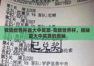 竞猜世界杯最大中奖票-竞猜世界杯，揭秘最大中奖票的奥秘
