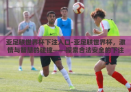 亚足联世界杯下注入口-亚足联世界杯，激情与智慧的碰撞——探索合法安全的下注平台