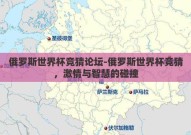 俄罗斯世界杯竞猜论坛-俄罗斯世界杯竞猜，激情与智慧的碰撞