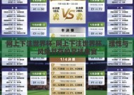 网上下注世界杯-网上下注世界杯，理性与风险并存的足球盛宴