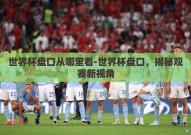 世界杯盘口从哪里看-世界杯盘口，揭秘观赛新视角
