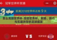 怎么竞猜世界杯-竞猜世界杯，策略、技巧与乐趣并存的足球盛宴