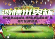 世界杯足球赛竞猜-世界杯足球赛竞猜，激情与智慧的碰撞
