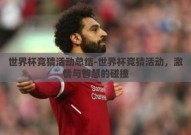 世界杯竞猜活动总结-世界杯竞猜活动，激情与智慧的碰撞