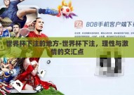 世界杯下注的地方-世界杯下注，理性与激情的交汇点