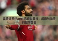 竞猜世界杯app-竞猜世界杯，乐趣与激情的数字盛宴