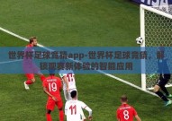 世界杯足球竞猜app-世界杯足球竞猜，解锁观赛新体验的智能应用