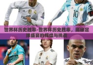 世界杯历史胜率-世界杯历史胜率，揭秘足球盛宴的辉煌与挑战