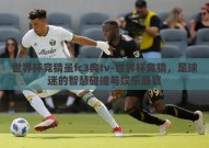 世界杯竞猜虽fc3典tv-世界杯竞猜，足球迷的智慧碰撞与娱乐盛宴