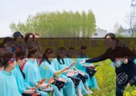 世界杯用什么竞猜-世界杯竞猜，乐趣与智慧的碰撞