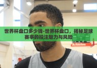 世界杯盘口多少钱-世界杯盘口，揭秘足球赛事的投注魅力与风险