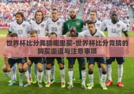 世界杯比分竞猜哪里买-世界杯比分竞猜的购买渠道与注意事项