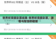 世界杯竞猜彩票结果-世界杯竞猜彩票，激情与智慧的碰撞