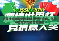 世界杯竞猜哪里能买到-世界杯竞猜，何处寻觅激情与智慧的碰撞