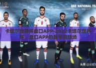 卡塔尔世界杯盘口APP-2022卡塔尔世界杯，盘口APP的数字竞技场