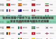 世界杯用哪个软件下注-世界杯观赛新体验，安全合法的观赛与娱乐方式探索
