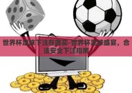 世界杯足球下注在哪买-世界杯足球盛宴，合法安全下注指南