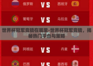 世界杯冠军竞猜在哪里-世界杯冠军竞猜，揭秘热门平台与策略