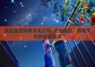 灵动星空体育文化公司-灵动星空，体育文化的璀璨篇章