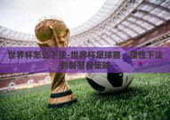 世界杯怎么下注-世界杯足球赛，理性下注的智慧与策略