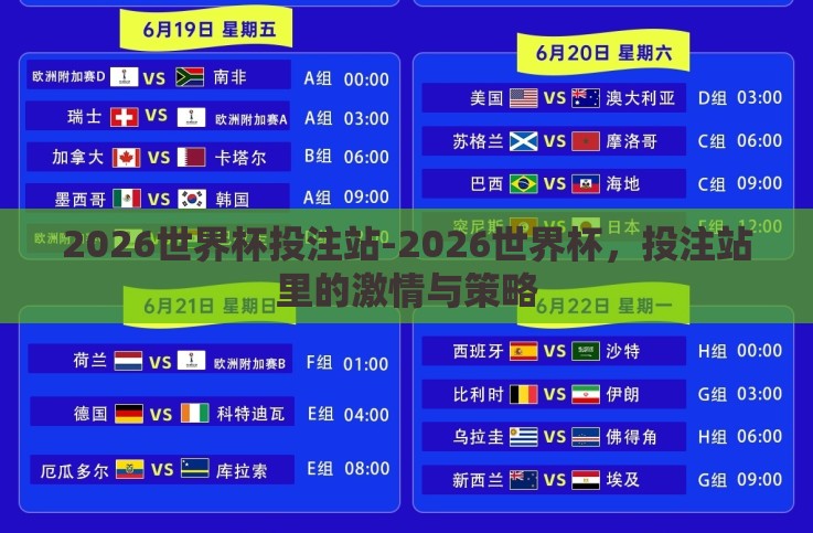 2026世界杯投注站-2026世界杯,投注站里的激情与策略 2026世界杯投注站-2026世界杯,投注站里的激情与策略