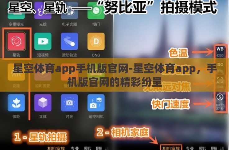 星空体育app手机版官网-星空体育app，手机版官网的精彩纷呈