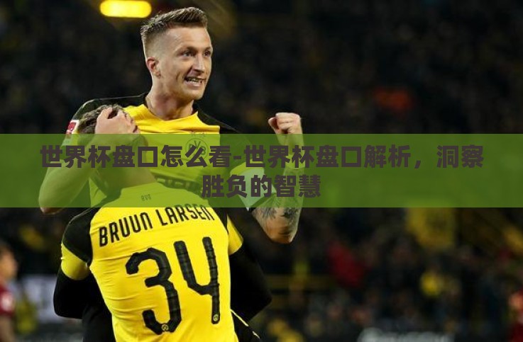 世界杯盘口怎么看-世界杯盘口解析，洞察胜负的智慧