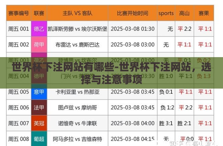 世界杯下注网站有哪些-世界杯下注网站,选择与注意事项 世界杯下注网站有哪些-世界杯下注网站,选择与注意事项