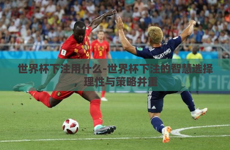 世界杯下注用什么-世界杯下注的智慧选择,理性与策略并重 世界杯下注用什么-世界杯下注的智慧选择,理性与策略并重