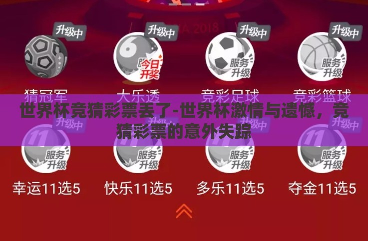 世界杯竞猜彩票丢了-世界杯激情与遗憾，竞猜彩票的意外失踪