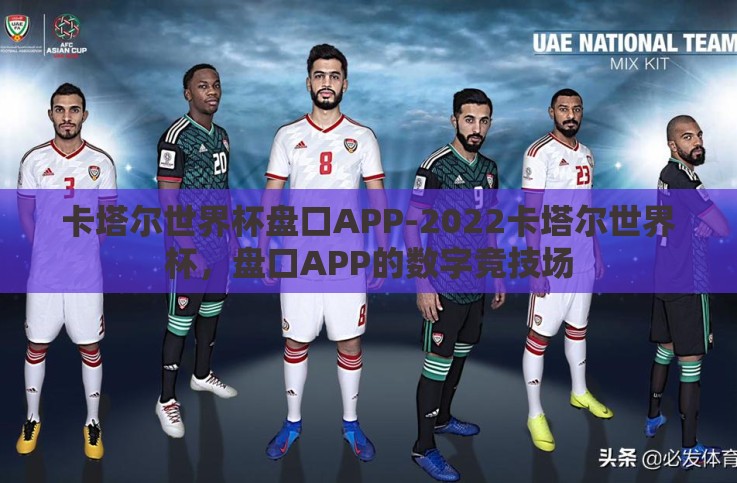 卡塔尔世界杯盘口APP-2022卡塔尔世界杯，盘口APP的数字竞技场