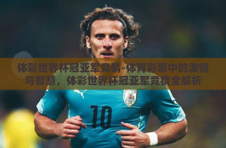 体彩世界杯冠亚军竞猜-体育彩票中的激情与智慧,体彩世界杯冠亚军竞猜全解析 体彩世界杯冠亚军竞猜-体育彩票中的激情与智慧,体彩世界杯冠亚军竞猜全解析