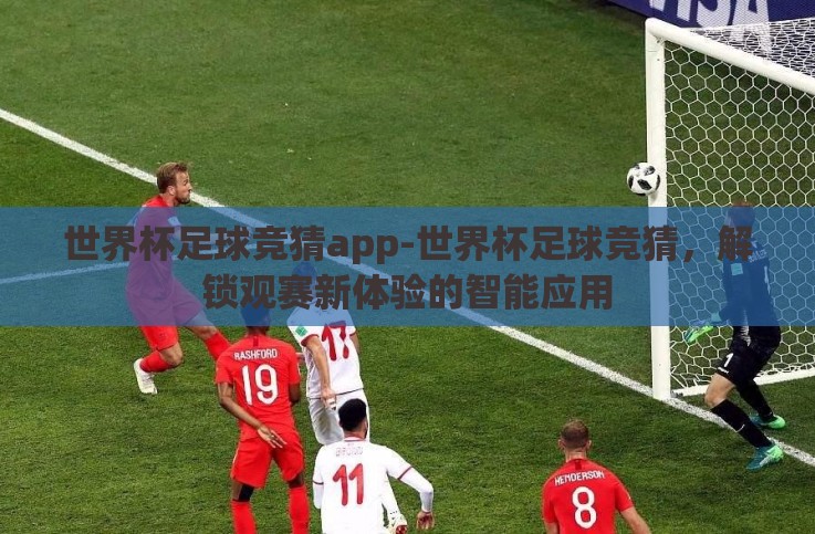 世界杯足球竞猜app-世界杯足球竞猜，解锁观赛新体验的智能应用