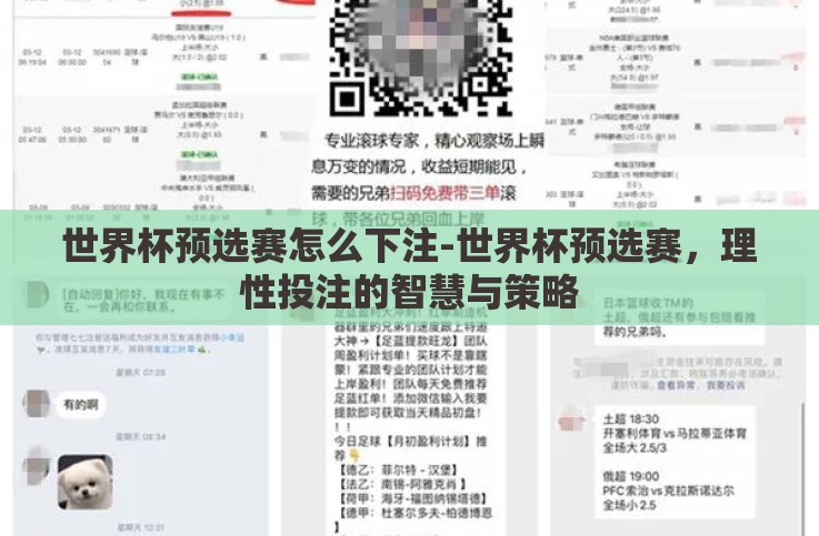 世界杯预选赛怎么下注-世界杯预选赛，理性投注的智慧与策略