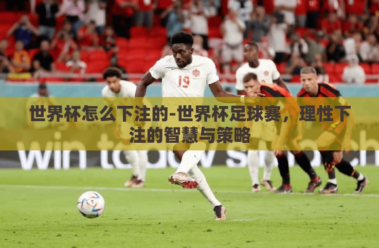 世界杯怎么下注的-世界杯足球赛,理性下注的智慧与策略 世界杯怎么下注的-世界杯足球赛,理性下注的智慧与策略