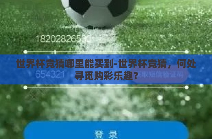 世界杯竞猜哪里能买到-世界杯竞猜，何处寻觅购彩乐趣？