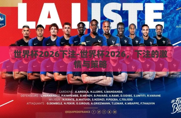 世界杯2026下注-世界杯2026，下注的激情与策略