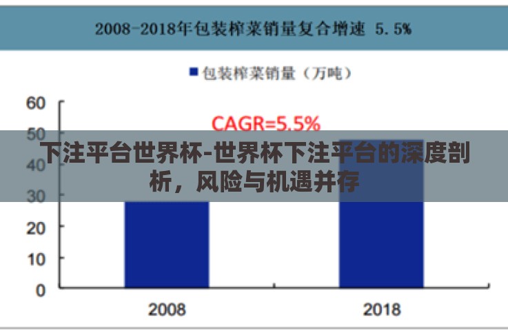 下注平台世界杯-世界杯下注平台的深度剖析,风险与机遇并存 下注平台世界杯-世界杯下注平台的深度剖析,风险与机遇并存