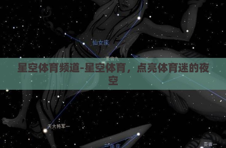 星空体育频道-星空体育，点亮体育迷的夜空