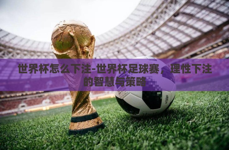 世界杯怎么下注-世界杯足球赛,理性下注的智慧与策略 世界杯怎么下注-世界杯足球赛,理性下注的智慧与策略