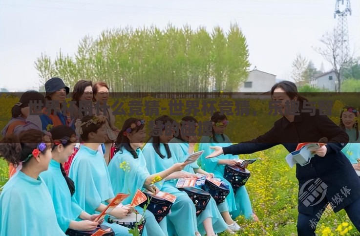 世界杯用什么竞猜-世界杯竞猜,乐趣与智慧的碰撞 世界杯用什么竞猜-世界杯竞猜,乐趣与智慧的碰撞