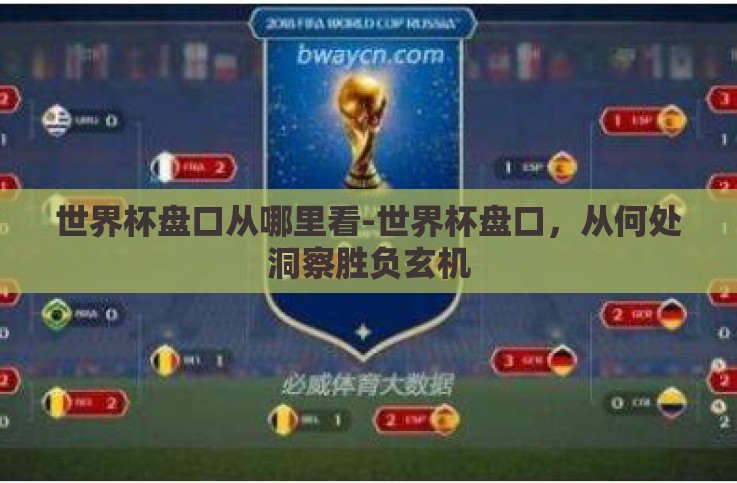 世界杯盘口从哪里看-世界杯盘口,从何处洞察胜负玄机 世界杯盘口从哪里看-世界杯盘口,从何处洞察胜负玄机