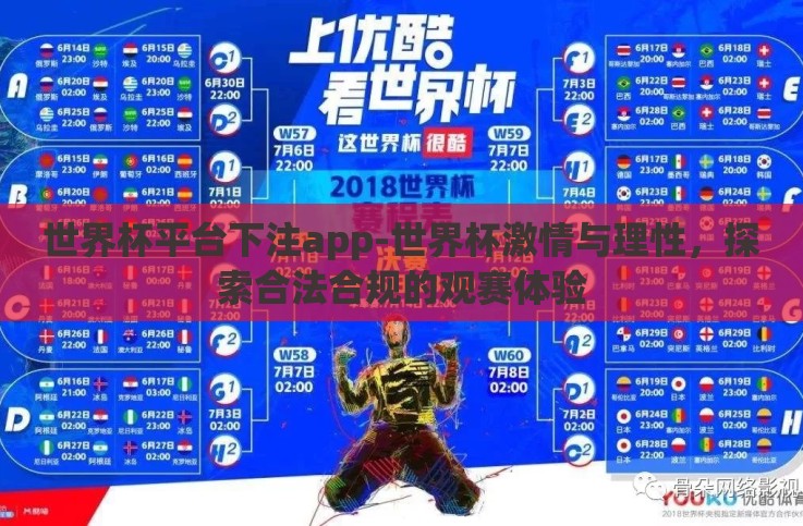 世界杯平台下注app-世界杯激情与理性，探索合法合规的观赛体验