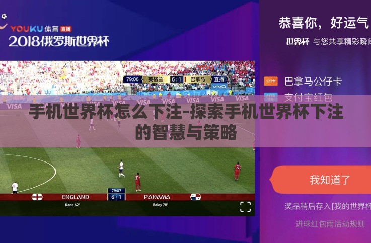 手机世界杯怎么下注-探索手机世界杯下注的智慧与策略 手机世界杯怎么下注-探索手机世界杯下注的智慧与策略