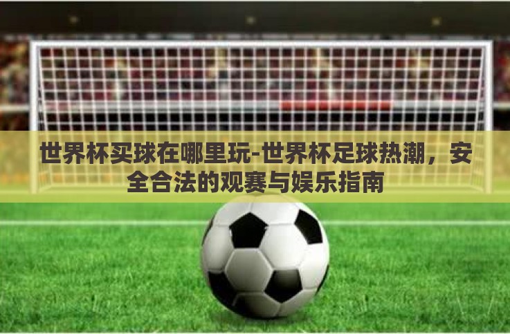 世界杯买球在哪里玩-世界杯足球热潮,安全合法的观赛与娱乐指南 世界杯买球在哪里玩-世界杯足球热潮,安全合法的观赛与娱乐指南