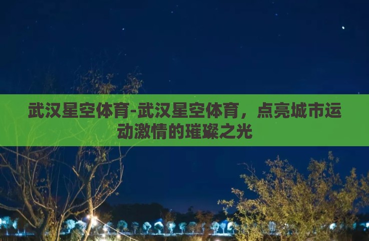 武汉星空体育-武汉星空体育，点亮城市运动激情的璀璨之光