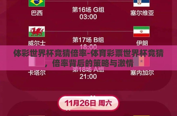 体彩世界杯竞猜倍率-体育彩票世界杯竞猜，倍率背后的策略与激情