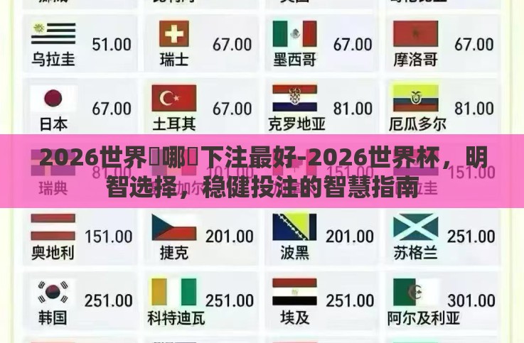 2026世界盃哪裡下注最好-2026世界杯，明智选择，稳健投注的智慧指南